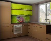 Барокко европейская кухня краска Germes, ДСП 1м Вариант 113