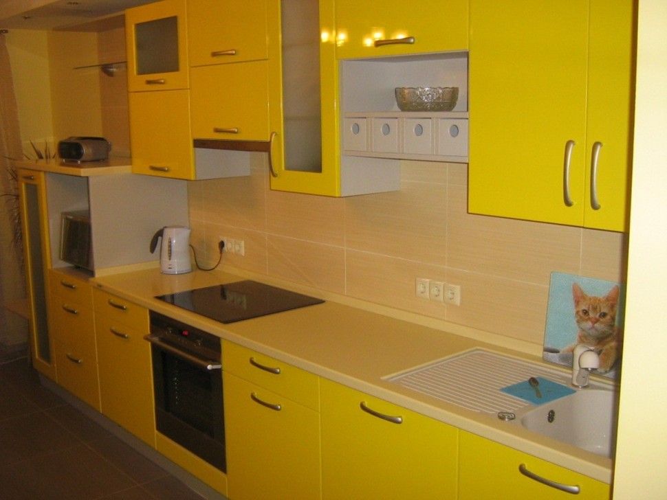 Модерн восточная кухня краска Deluxe, ДСП 1м Вариант 1391